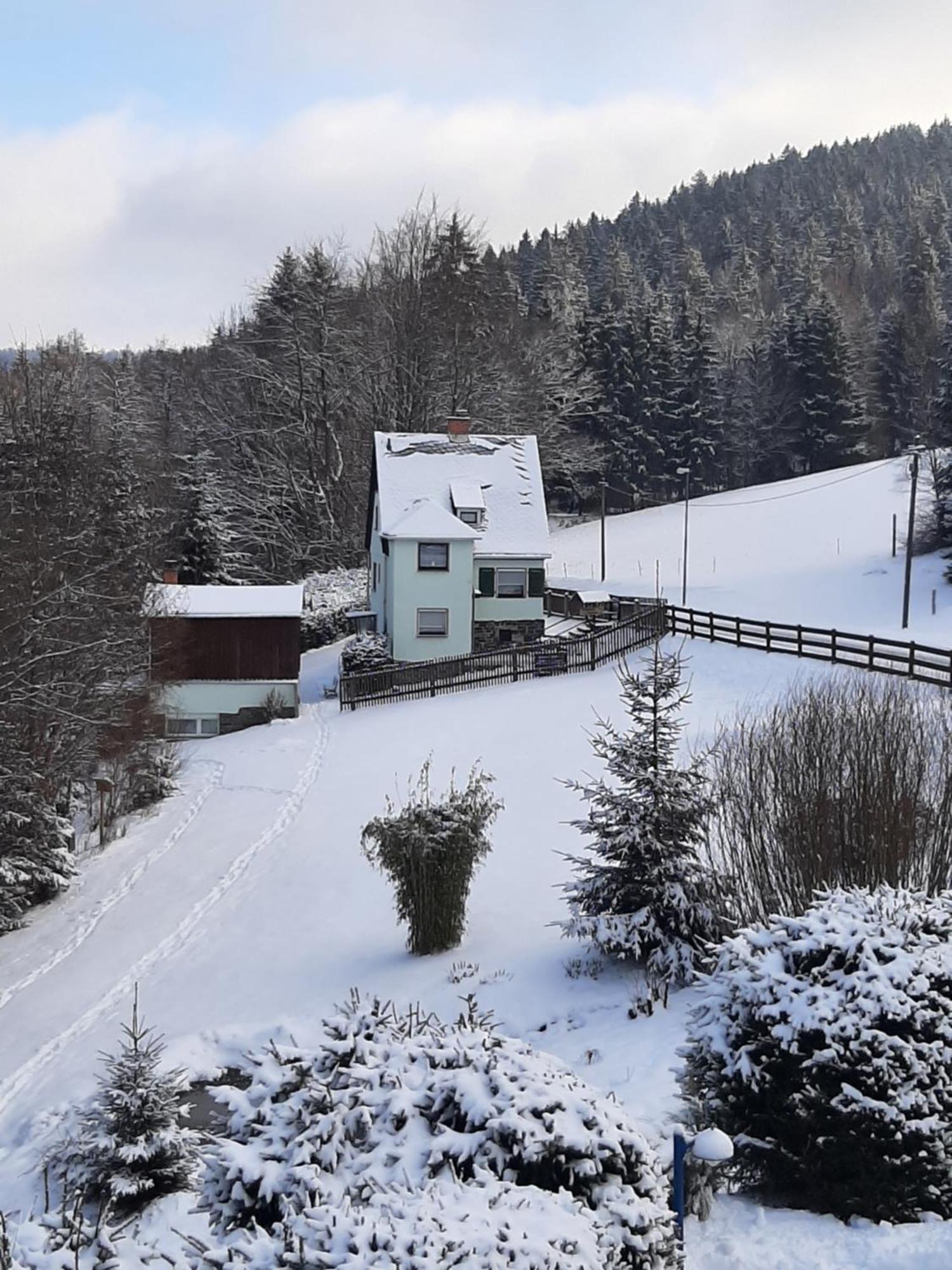 Ferienhaus Rosemarie Erlbach Vogtland Εξωτερικό φωτογραφία