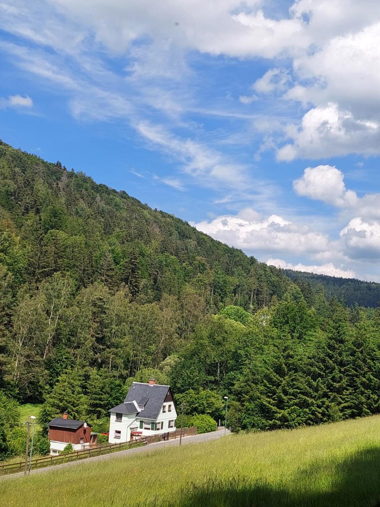 Ferienhaus Rosemarie Erlbach Vogtland Εξωτερικό φωτογραφία